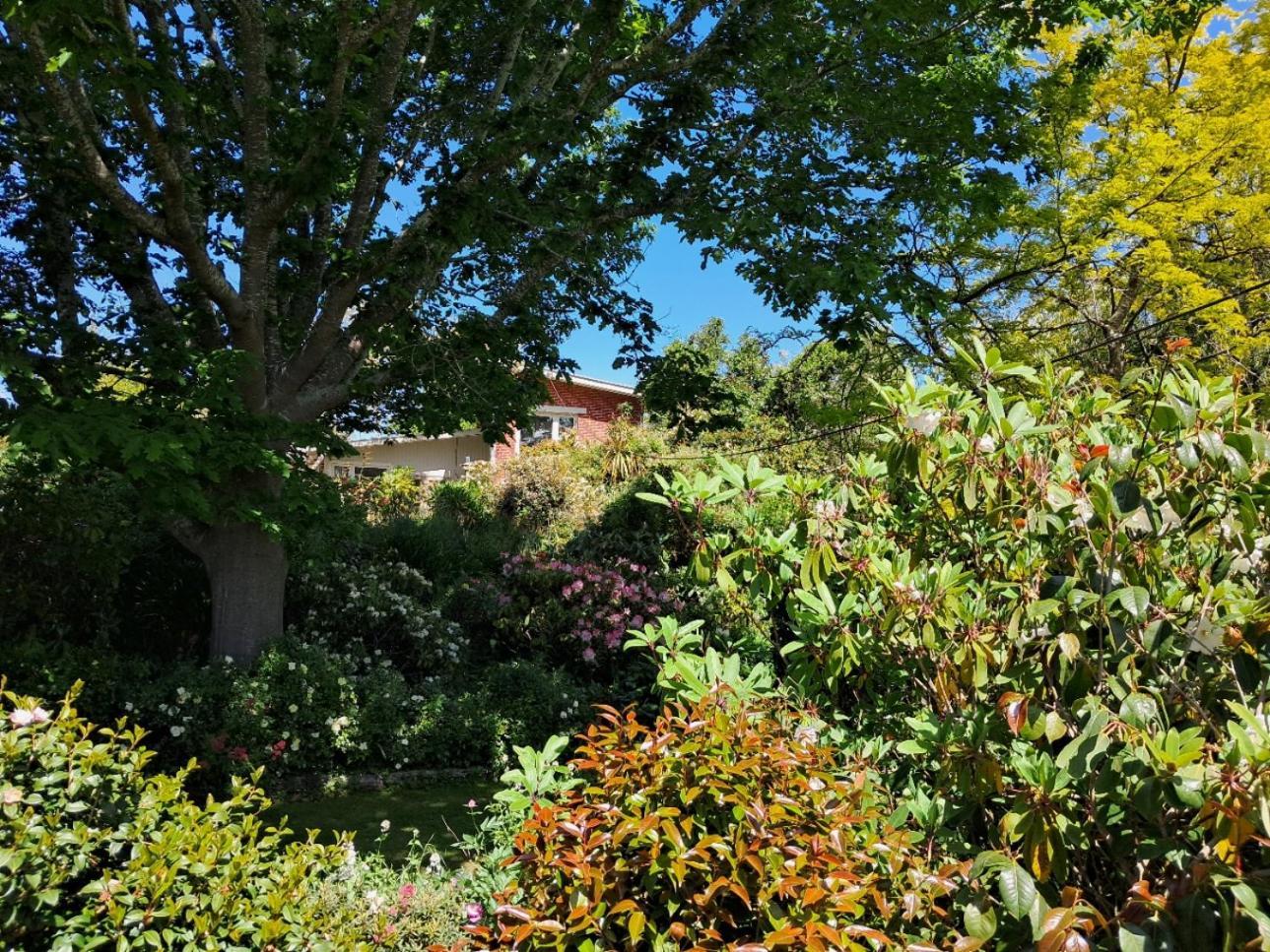 Niloc Waimate Exterior foto